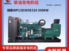 300KW濰柴柴油發電機組WP13D385E310視頻介紹